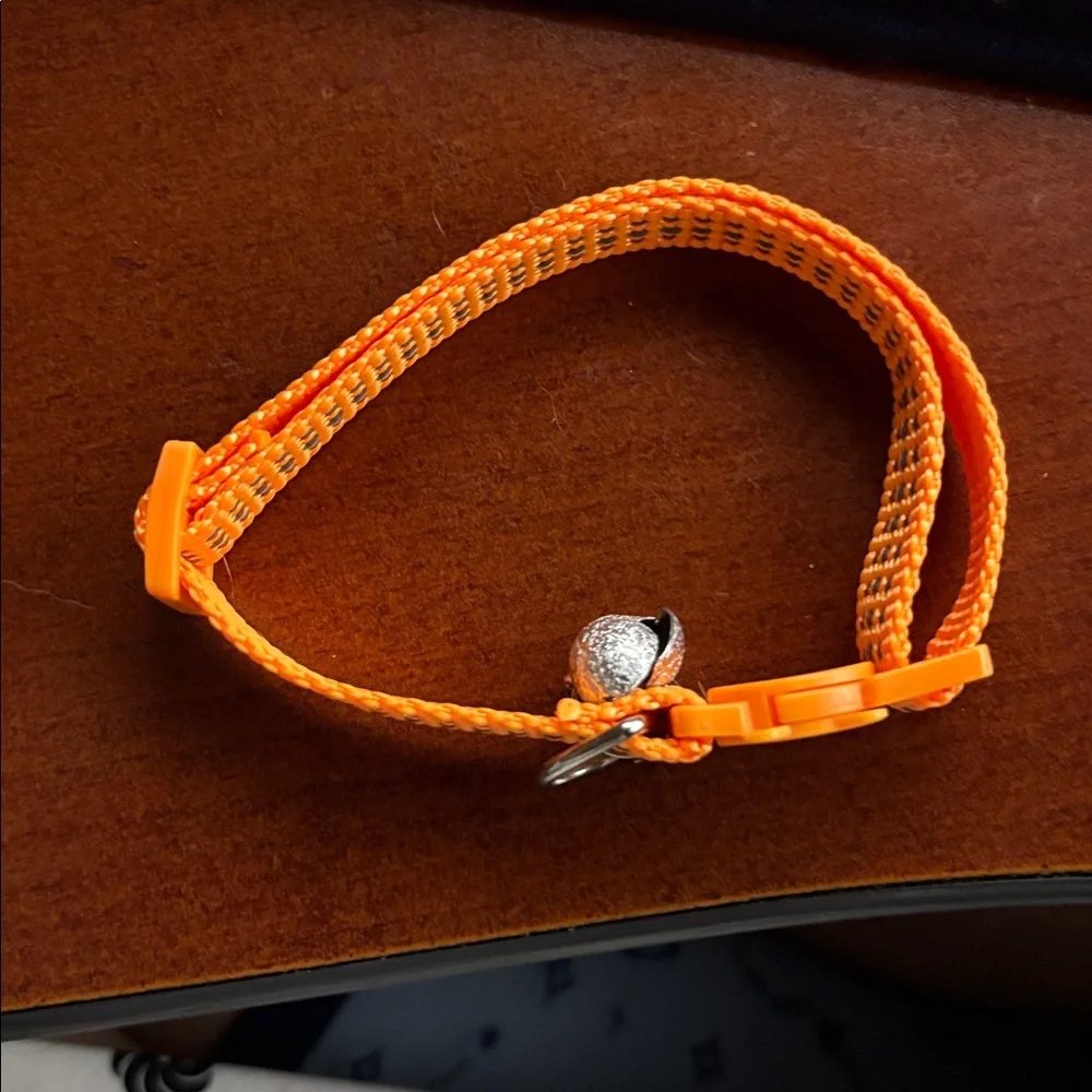 Orange Cat-Themed collar